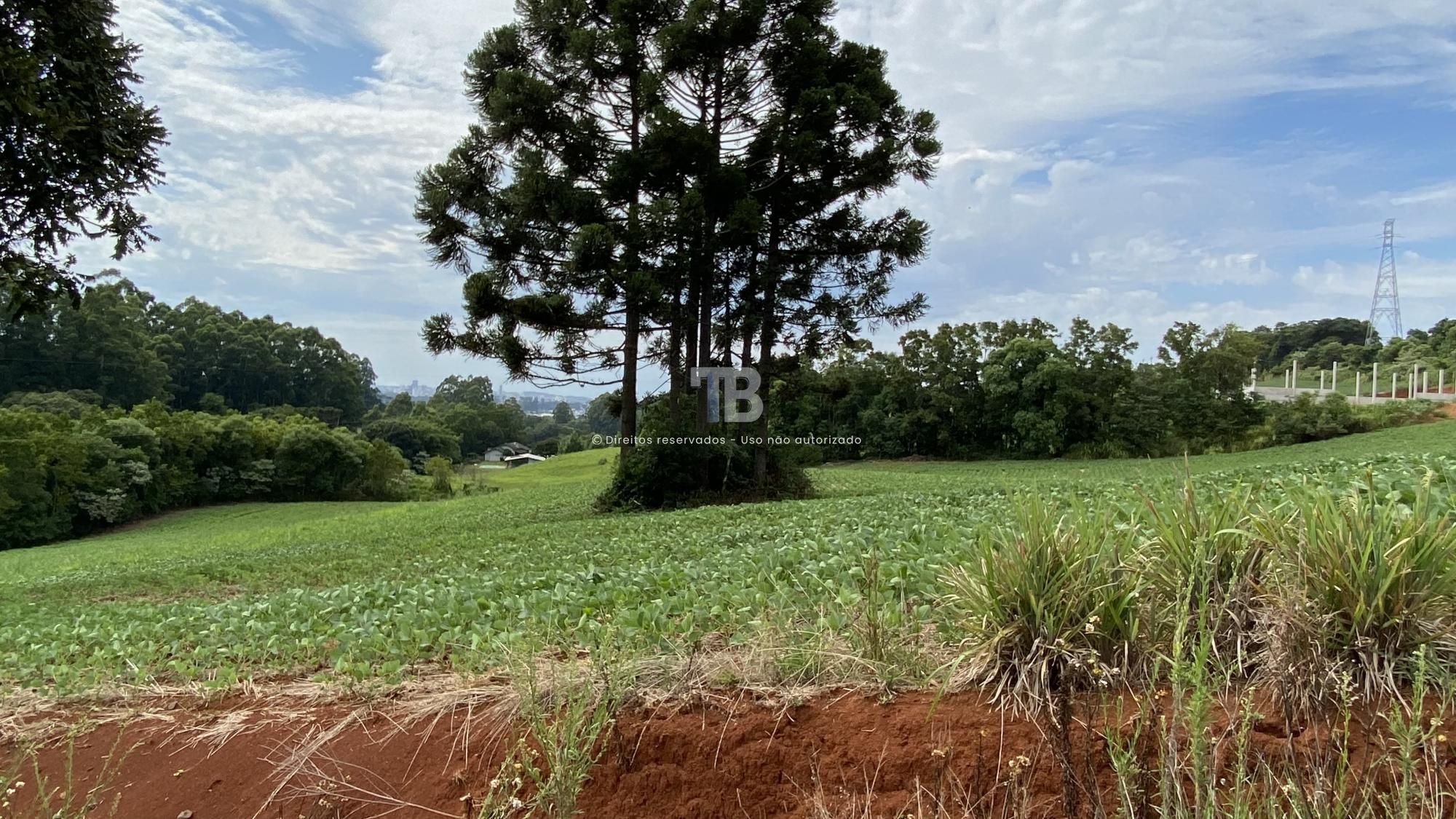 3205 – Terreno rural à venda em Chapecó com nascente, açude e energia elétrica